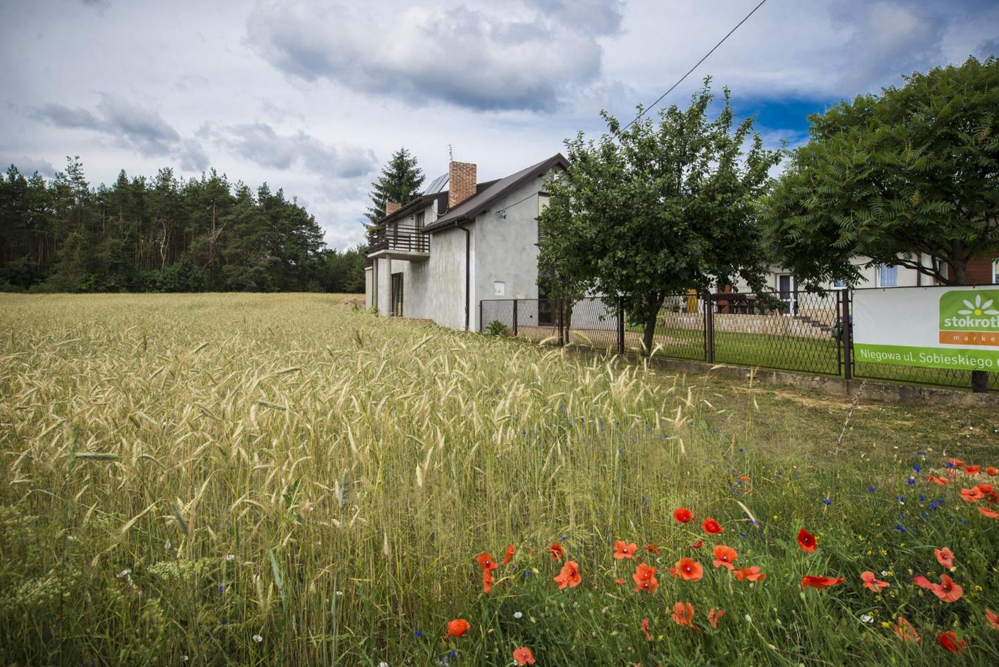 Jurajskie Pokoje Pod Lasem Боболице Экстерьер фото
